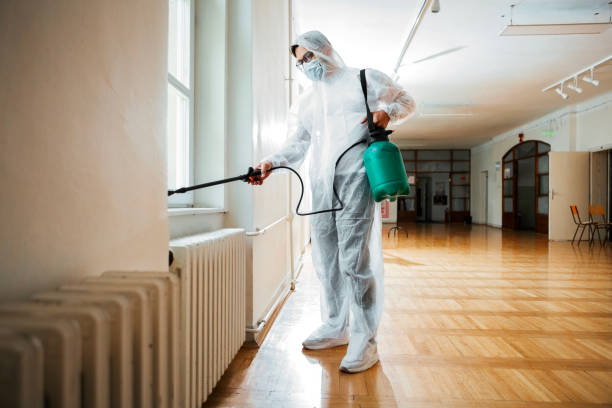 Reliable Flanders, NJ Pest control Solutions